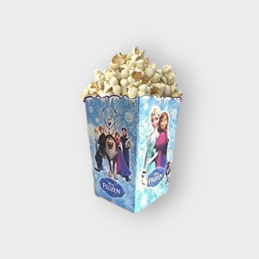 MISIR KUTUSU - FROZEN - 15X15 CM