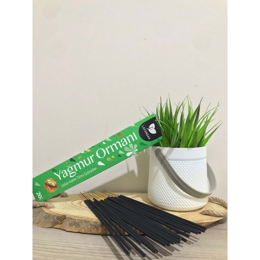 ÇUBUK TÜTSÜ - YAĞMUR ORMANI