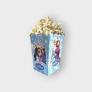 MISIR KUTUSU - FROZEN - 15X15 CM