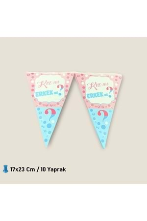 ÜÇGEN FLAMA 10 YAPRAK - KIZ MI ERKEK Mİ - 17X23 CM